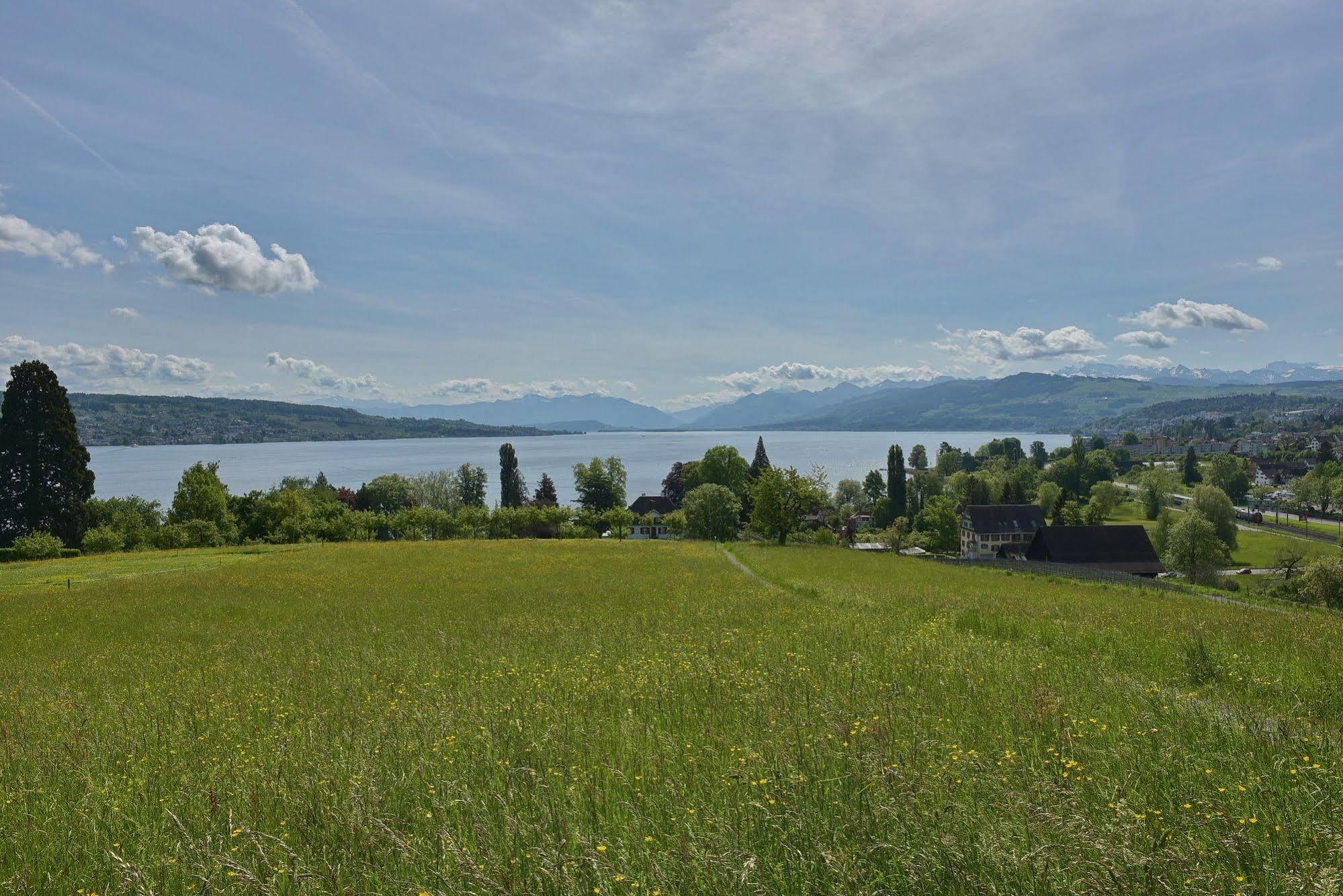 Landgasthof Halbinsel Au 베덴스빌 외부 사진